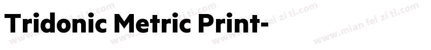 Tridonic Metric Print字体转换